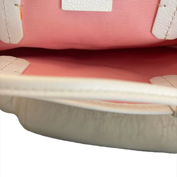 Goyard Poitiers Claire-Voie Bag - Picture 8 of 10